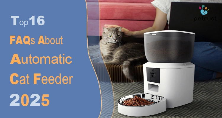 A person petting a gray tabby cat sitting next to an automatic cat feeder, illustrating a blog post about an automatic cat feeder FAQ.