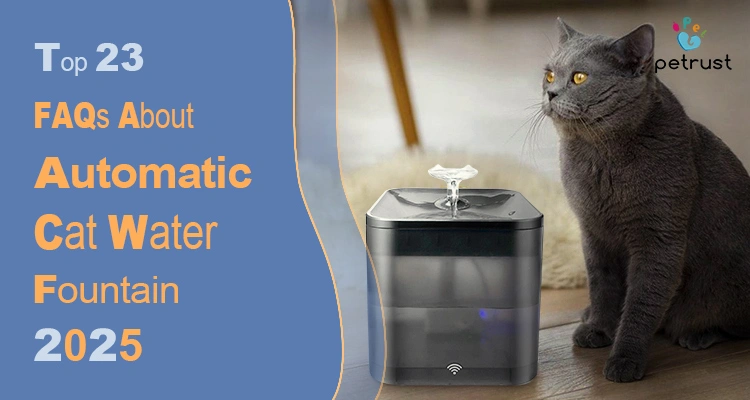 Automatic Cat Water Fountain FAQ 23 Essential Questions Answered by Luna the Cat of Automatic Cat Water Fountain FAQ: 23 Essential Questions Answered by Luna the Cat A gray cat with bright yellow eyes is sitting next to a modern automatic cat water fountain, illustrating an automatic cat water fountain FAQ hub.