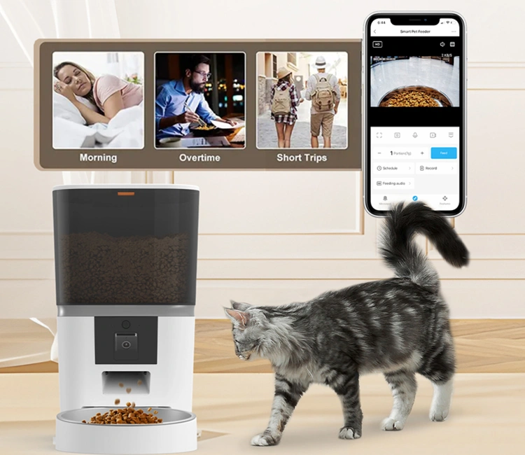 Camera Equipped Automatic Cat Feeder OEM Guide 2025 2 of Camera Equipped Automatic Cat Feeder OEM Guide 2025: Top Factories, Costs & Best Options A gray and white tabby cat walking towards a white automatic cat feeder while an iPhone screen shows remote app control options and live camera view. This image demonstrates the convenience of a camera equipped automatic cat feeder OEM for pet owners.