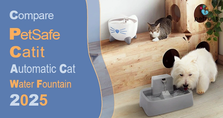Catit vs PetSafe Ultimate 2025 Cat Water Fountain Comparison OEM Private Label Options of Catit vs PetSafe: Ultimate 2025 Cat Water Fountain Comparison + OEM & Private Label Options A white and blue Catit fountain and a gray PetSafe fountain are shown with a cat and a dog, illustrating a comparison of Catit vs PetSafe cat water fountain.