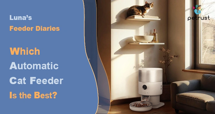 Lunas Feeder Diaries Best Automatic Cat Feeder Reviews 2025 Top Picks OEM Buyer Guide of Best Automatic Cat Feeder Reviews 2025: Top Picks & OEM Buyer Guide | Luna’s Feeder Diaries A tabby cat is sitting on a wall-mounted shelf above a white and gray automatic cat feeder, illustrating a guide with the best automatic cat feeder reviews 2025.