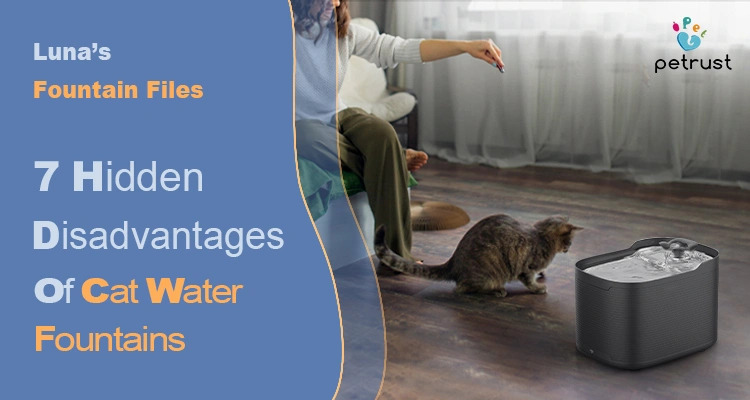 Lunas Fountain Files 7 Hidden Disadvantages of Cat Water Fountains You Must Know Before You Buy of 7 Hidden Disadvantages of Cat Water Fountains You Must Know (Before You Buy) | Luna’s Fountain Files A cat walks toward a black, modern water fountain, representing a guide on the disadvantages of cat water fountains to consider before buying.