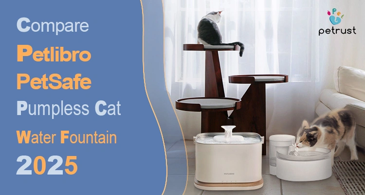 Two cats interacting with a Petlibro and a PetSafe pumpless cat water fountain side by side, illustrating a comparison of Petlibro vs PetSafe Pumpless Cat Water Fountain.