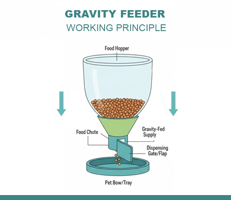 Automatic vs Gravity Feeders Gravity feeder working principle of Automatic vs Gravity Feeders: Which One Wins for Cats & Buyers 2025 | Luna’s Feeder Diaries A diagram illustrating the working principle of a gravity feeder, where food falls by gravity into a tray, to contrast with automatic models in the automatic vs gravity feeders discussion.