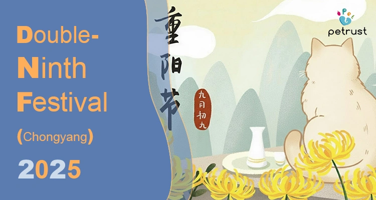 Traditional style illustration for the Double Ninth Festival 2025, showing a cat looking at mountains, chrysanthemums, and wine.