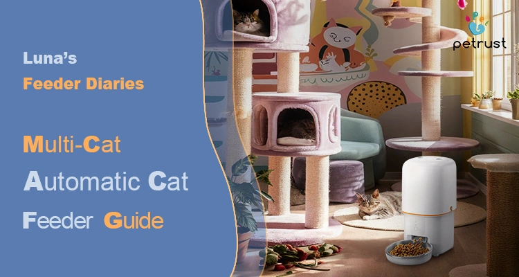 Lunas Feeder Diaries Multi Cat Automatic Feeder Guide One Feeder Per Cat for a Stress Free Home 1 of Multi-Cat Automatic Feeder Ultimate Guide: One Feeder Per Cat for a Stress-Free Home | Luna’s Feeder Diaries Two cats relax on a colorful multi-level cat tower next to a white automatic feeder, illustrating a guide for using a multi-cat automatic feeder for a stress-free home.
