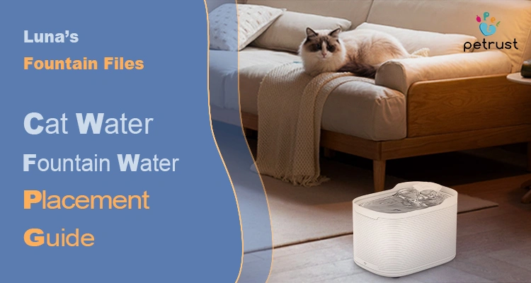Lunas Fountain Files Best Place to Put Cat Water Fountain at Home of Best Place to Put Cat Water Fountain at Home – Luna’s Fountain Files A fluffy cat relaxes on a sofa near a running water fountain, illustrating a guide on the best place to put cat water fountain in a home.