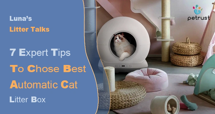 Lunas Litter Talks Automatic Litter Box Tips 7 Cat Tested Ideas Smart Checklist of Best Automatic Litter Box Tips: 7 Cat-Tested Ideas & Smart Checklist | Luna’s Litter Talks A fluffy cat sits inside a large, sphere-shaped automatic litter box, illustrating automatic litter box tips for best use and setup.