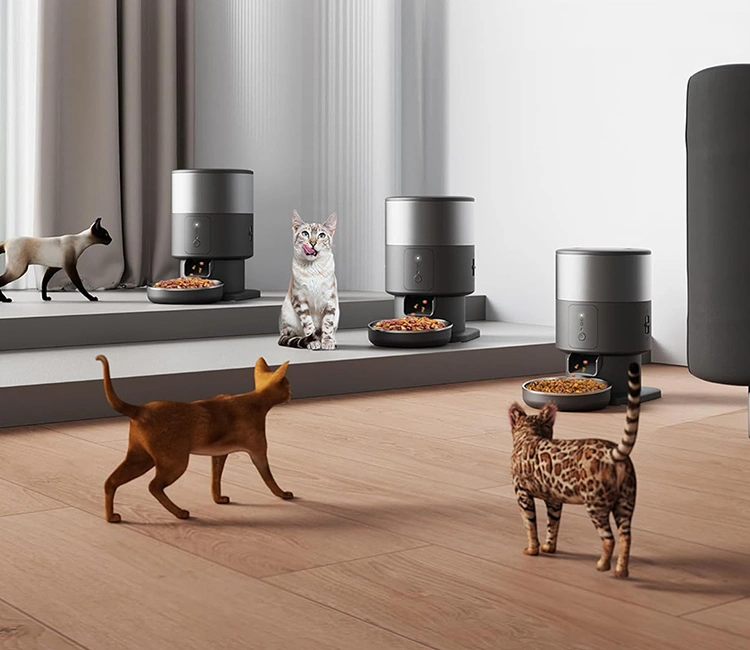 Multi Cat Automatic Feeder Guide One Feeder Per Cat for a Stress Free Home 2 of Multi-Cat Automatic Feeder Ultimate Guide: One Feeder Per Cat for a Stress-Free Home | Luna’s Feeder Diaries Four different cats approach or use three dark-colored automatic feeders, demonstrating the effectiveness of the multi-cat automatic feeder system in a busy home.