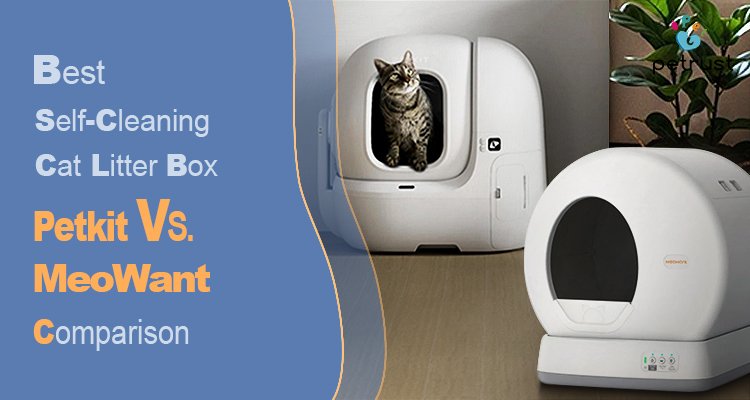 Petkit vs Meowant 2025 Review Best Self Cleaning Litter Box Compared OEM Alternatives from China of Petkit vs Meowant (2025 Review): Best Self-Cleaning Litter Box Compared + OEM Alternatives from China A tabby cat exits a white Self-Cleaning Litter Box unit next to a second unit, comparing the Petkit vs Meowant models for 2025.