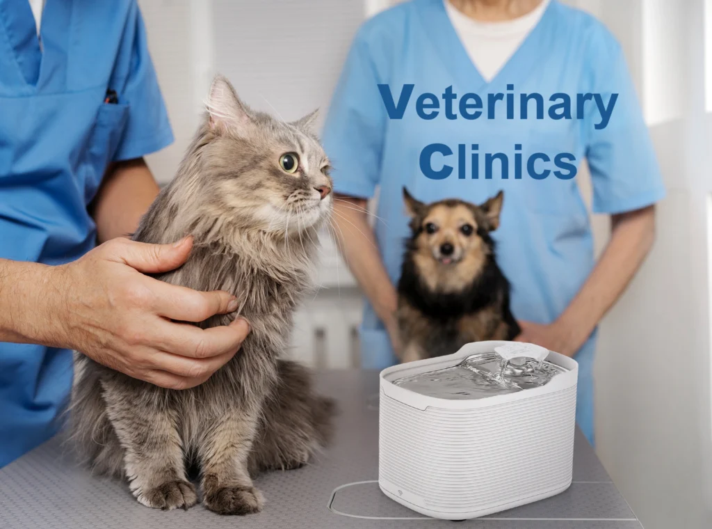 Where Our Automatic Pet Water Fountains Make a Difference Veterinary Clinics of Automatic Cat Water Fountain A gray long-haired cat on an examination table next to an automatic cat water fountain, highlighting its use in Veterinary Clinics.
