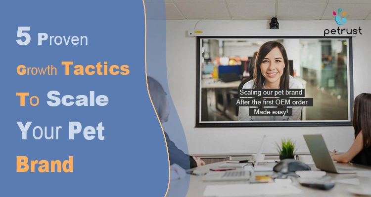 Business professionals meet in a conference room to discuss "5 Proven Growth Tactics" to successfully scale pet brand operations after their initial OEM order.