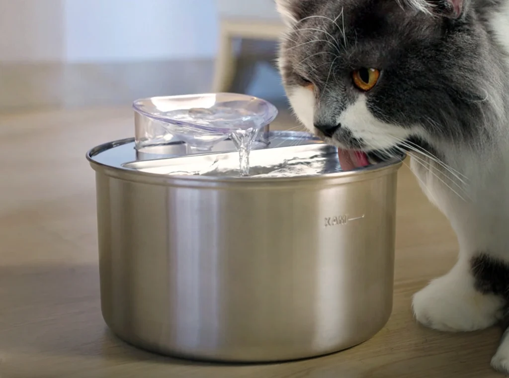 A black and white cat drinks from a premium stainless steel automatic cat water fountain with a clear splash guard, emphasizing hygienic materials.