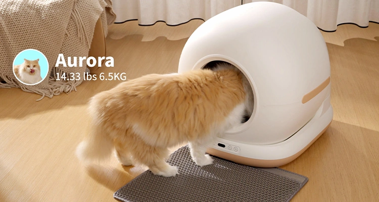 A fluffy ginger cat enters a dome-shaped automatic litter box unit, demonstrating the large and accessible entry produced by a top Automatic Litter Box Manufacturer.