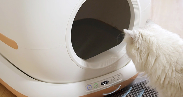 A fluffy white cat inspects the entrance and control panel of a clean, modern automatic litter box, showing attention to detail from an Automatic Litter Box Manufacturer.
