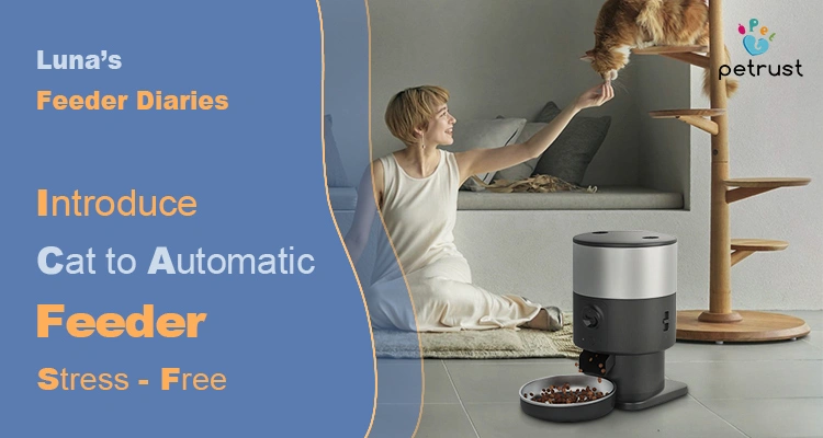 A happy woman sitting on the floor gently encourages her ginger cat on a scratching post to approach the new automatic feeder, demonstrating the best way to introduce cat to automatic feeder stress-free.