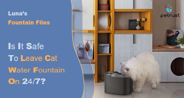 A fluffy white cat drinks from a dark gray pet water fountain, posing the question: Is it safe to leave cat water fountain on 24/7?