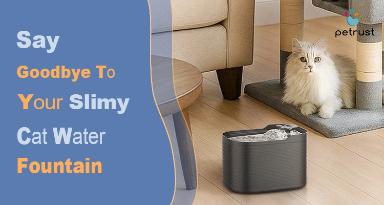 A fluffy, light-colored cat sits next to a clean, gray Petrust cat water fountain on a light wood floor, illustrating the product's promise to "Say Goodbye to Your Slimy Cat Water Fountain" through easy cleaning.