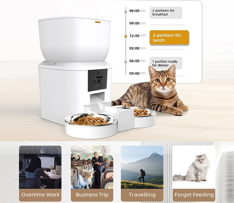 A tabby cat next to a white portion-controlled feeder with a graphic displaying a feeding schedule, illustrating the convenience features made possible by OEM smart cat feeder manufacturers in China.