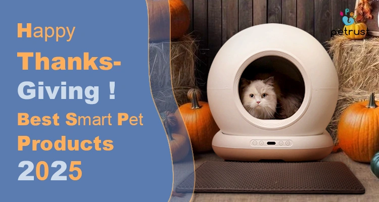 Thanksgiving 2025 Smart Pet Products Celebrating Gratitude and Pet Care with Petrust® of Thanksgiving 2025 Smart Pet Products: Celebrating Best Gratitude & Pet Care with Petrust® A white cat peeks from an automatic litter box surrounded by pumpkins and hay bales, showcasing Thanksgiving 2025 smart pet products for the holiday season.