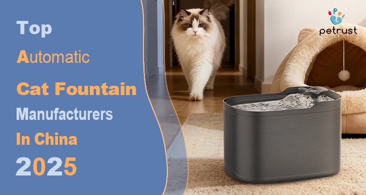 A beautiful Ragdoll cat walks towards a modern, dark grey automatic cat water fountain in a cozy living room, illustrating the quality of automatic cat water fountain manufacturers in China in 2025.