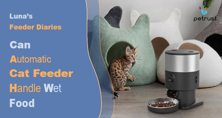 A Bengal cat stands next to a modern automatic cat feeder dispensing dry food, addressing the question: "Can automatic cat feeder handle wet food?"