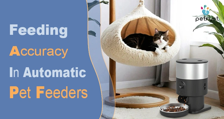 Feeding Accuracy in Automatic Pet Feeders of Feeding Accuracy in Automatic Pet Feeders: Hidden Risks OEM Buyers Must Know (and How to Mitigate) A tabby cat resting in a hanging bed next to a petrust device that ensures high feeding accuracy in automatic pet feeders for consistent pet health.