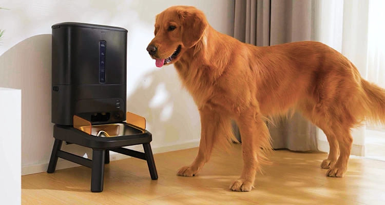 A golden retriever standing next to a smart automatic feeder for large dogs featuring an elevated stand and a large capacity hopper.