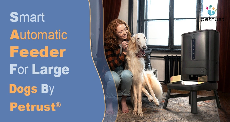 A promotional banner for the smart automatic feeder for large dogs by Petrust®, featuring a happy owner with her large Borzoi dog next to a high-capacity black feeder.