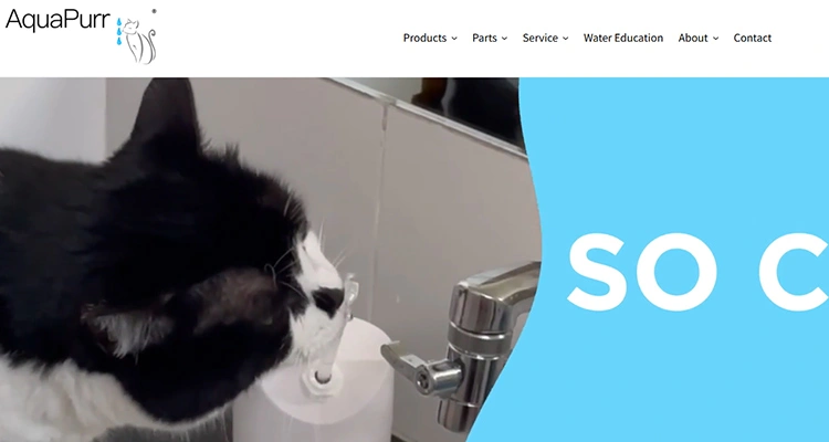 A cat drinking directly from an AquaPurr fountain, a unique flow-based design featured among top cat water fountain manufacturers in USA.