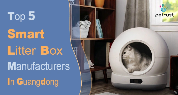Top 5 Smart Litter Box Manufacturers in Guangdong of Top 5 Smart Litter Box Manufacturers in Guangdong (2026 OEM Buyer’s Guide) A fluffy cat inside a modern automatic self-cleaning litter box, representing the top-tier quality provided by smart litter box manufacturers in Guangdong.