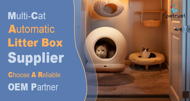 A modern pet room featuring a petrust multi-cat automatic litter box supplier product with a cat inside and a sleek globular design.