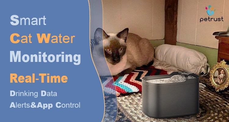 A Siamese cat resting near a Petrust dispenser equipped with smart cat water fountain monitoring for real-time drinking data and app-controlled alerts.