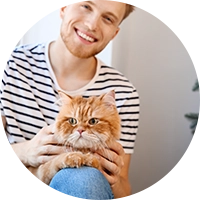 avatar cat01 [ING] homepage