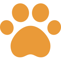 cat foot 01 [ING] homepage