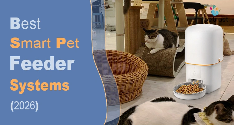 Best smart pet feeder systems 2026 automatic cat feeder with app control smart feeding technology and pet care innovation