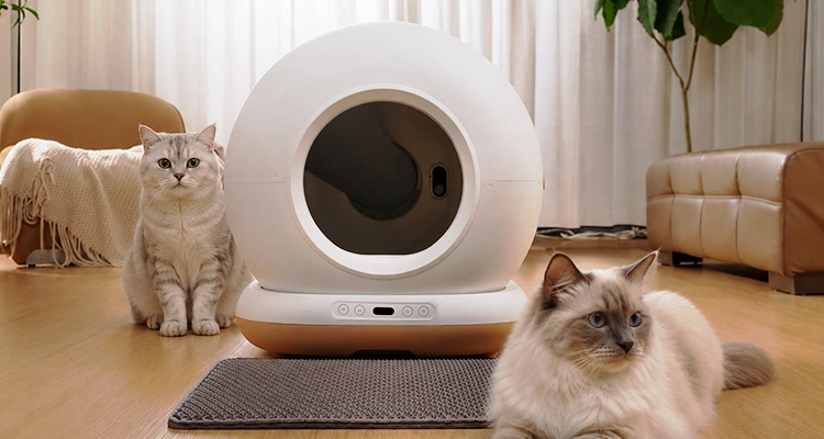 Private label self-cleaning cat litter box CB002 showcasing smart automatic litter box, OEM manufacturing, and custom pet product branding