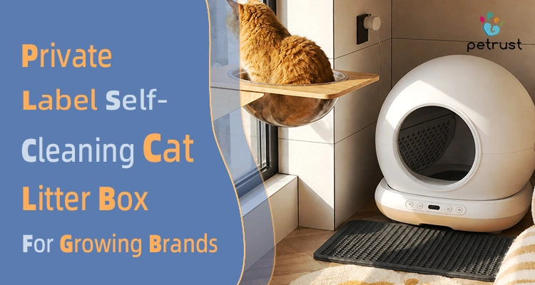 Private label self-cleaning cat litter box for growing brands featuring OEM manufacturing, custom branding, and smart cat litter box solutions