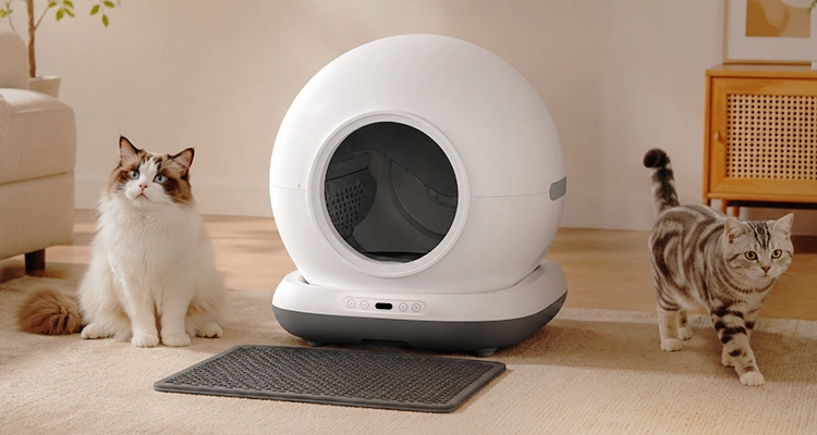 Private label self-cleaning cat litter box CB001 in a modern home featuring automatic litter box design, OEM customization, and premium pet care