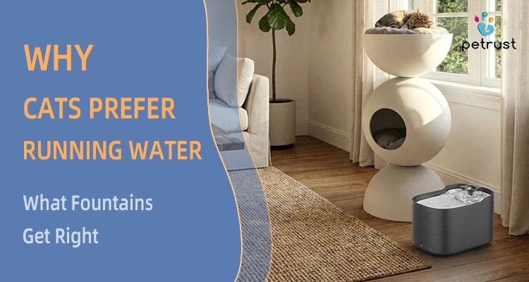 This image illustrates a modern, stacked cat tree and a pet water fountain, addressing the question of why cats prefer running water. It shows how pet fountains can correctly replicate natural, clean water sources that cats instinctively seek, encouraging healthy hydration habits and preventing dehydration-related issues.